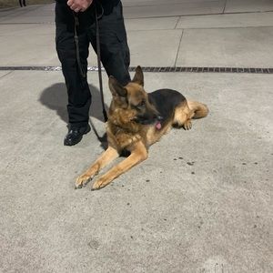 Meet your Posher, Marina